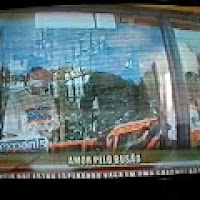 Foto de André M Corrales